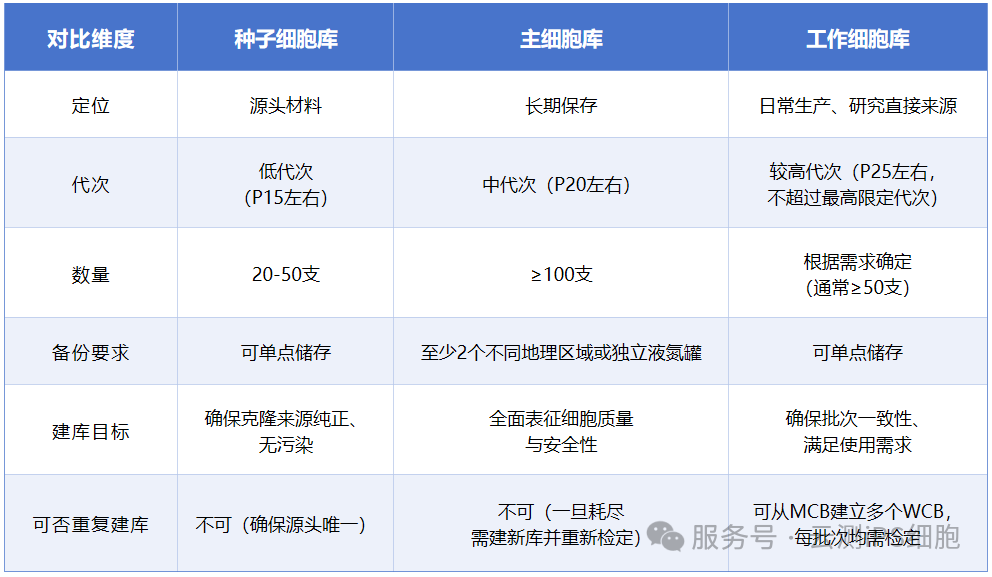 92edeac7-0666-4eec-bbc7-b377e3c2bbfa.png