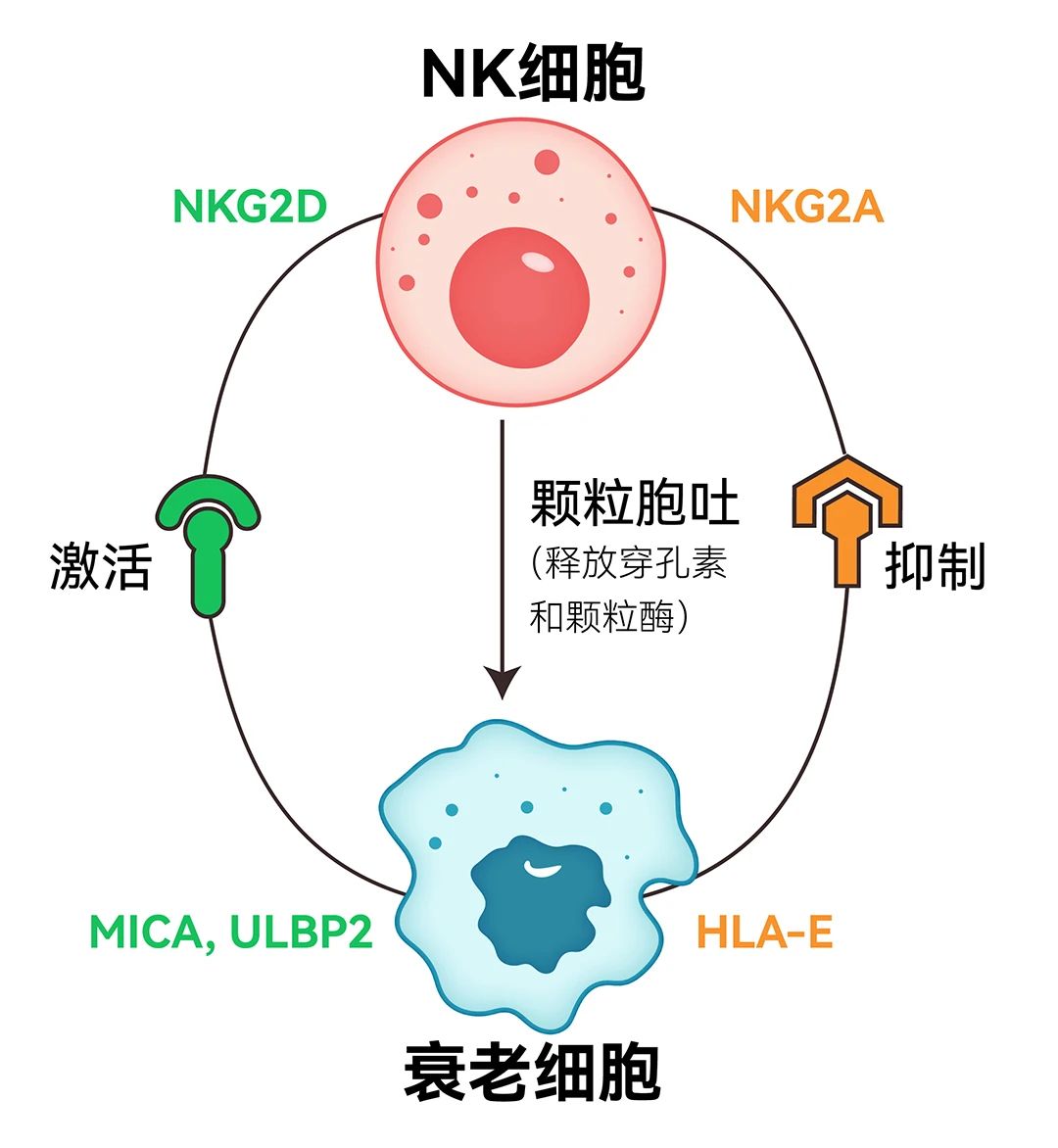 微信图片_20231102092755.jpg